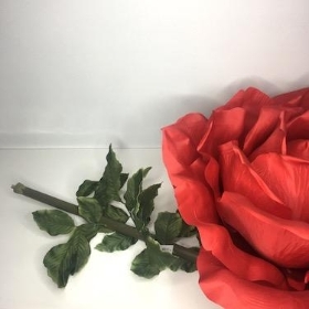 XXL Red Rose 170cm